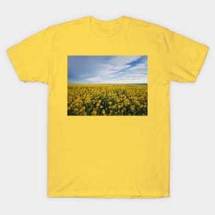 Rapeseed field T-Shirt